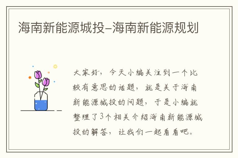 海南新能源城投-海南新能源规划