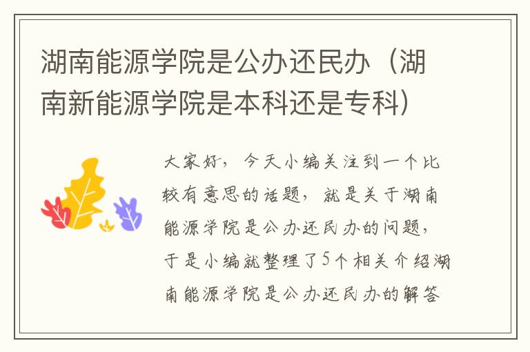 湖南能源学院是公办还民办（湖南新能源学院是本科还是专科）