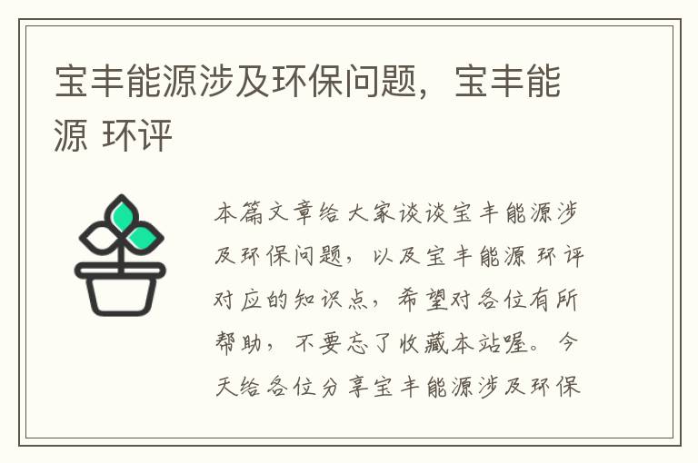 宝丰能源涉及环保问题，宝丰能源 环评