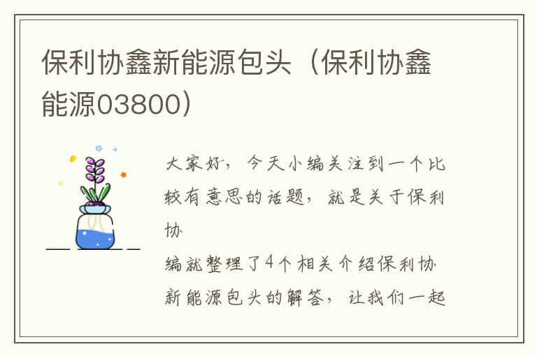 保利协鑫新能源包头（保利协鑫能源03800）