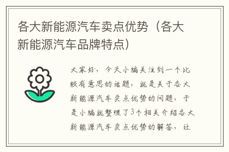 各大新能源汽车卖点优势（各大新能源汽车品牌特点）