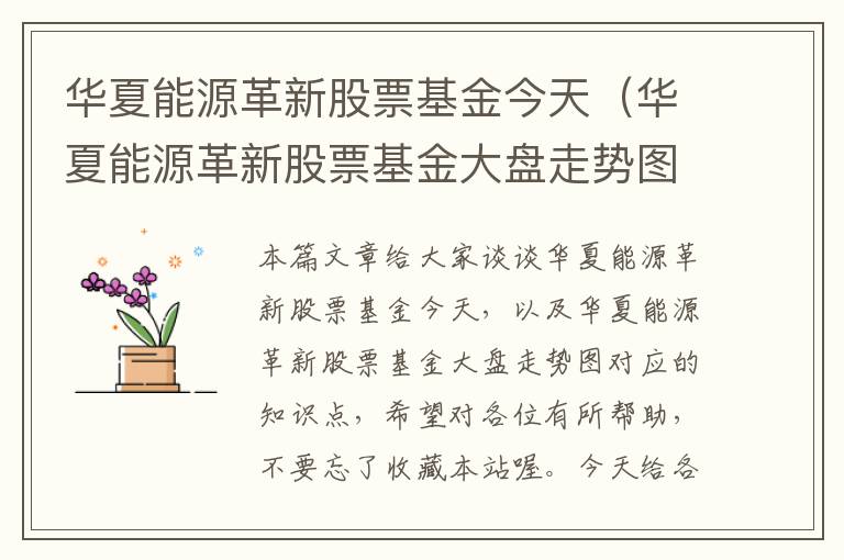 华夏能源革新股票基金今天（华夏能源革新股票基金大盘走势图）