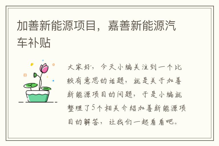 加善新能源项目，嘉善新能源汽车补贴