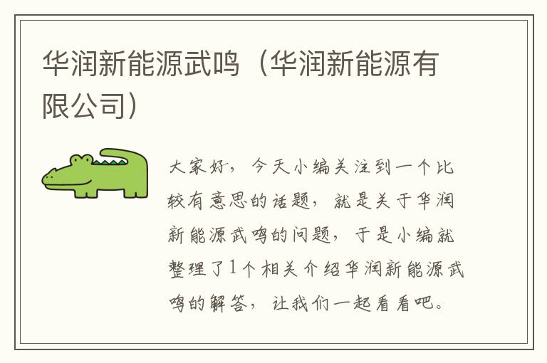 华润新能源武鸣（华润新能源有限公司）