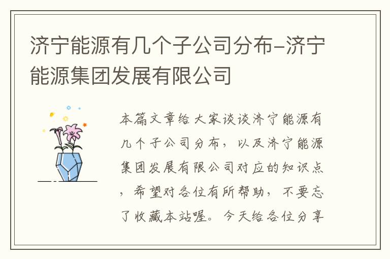 济宁能源有几个子公司分布-济宁能源集团发展有限公司