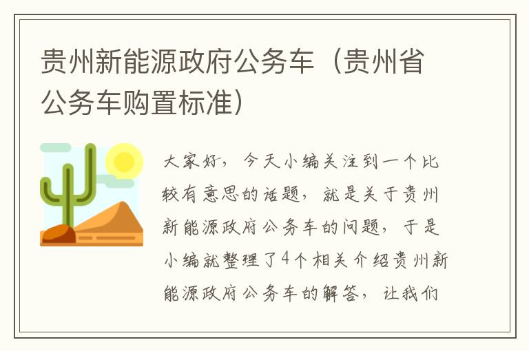 贵州新能源政府公务车（贵州省公务车购置标准）