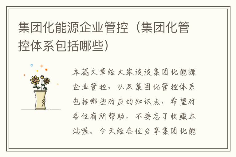 集团化能源企业管控（集团化管控体系包括哪些）