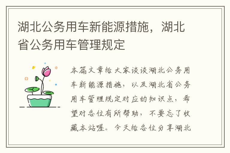 湖北公务用车新能源措施，湖北省公务用车管理规定