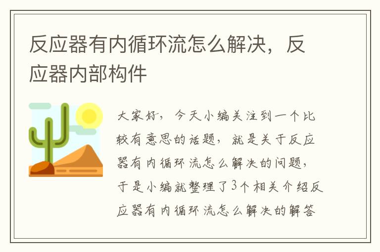 反应器有内循环流怎么解决，反应器内部构件