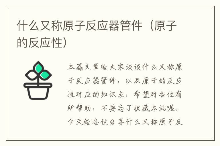 什么又称原子反应器管件（原子的反应性）