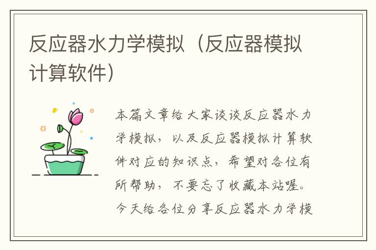 反应器水力学模拟（反应器模拟计算软件）