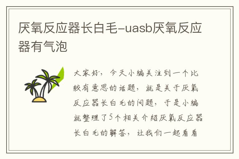 厌氧反应器长白毛-uasb厌氧反应器有气泡