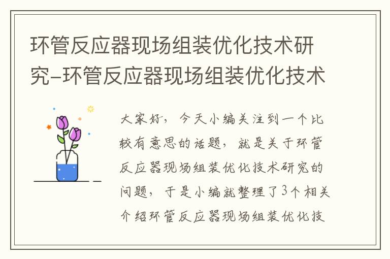 环管反应器现场组装优化技术研究-环管反应器现场组装优化技术研究现状