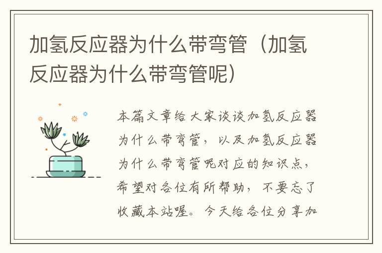 加氢反应器为什么带弯管（加氢反应器为什么带弯管呢）