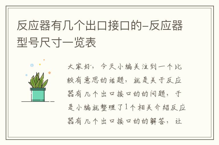 反应器有几个出口接口的-反应器型号尺寸一览表