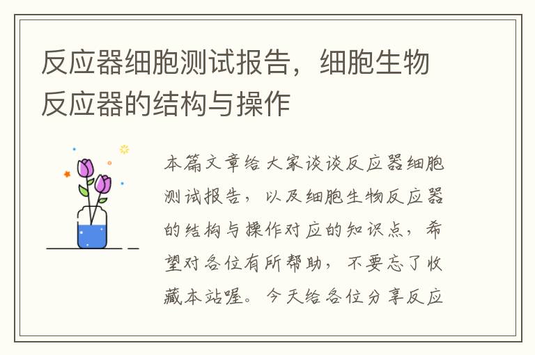 反应器细胞测试报告，细胞生物反应器的结构与操作