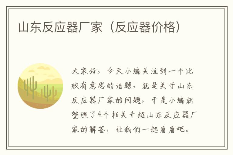 山东反应器厂家（反应器价格）