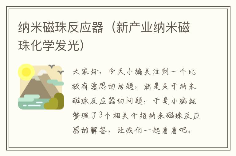 纳米磁珠反应器（新产业纳米磁珠化学发光）