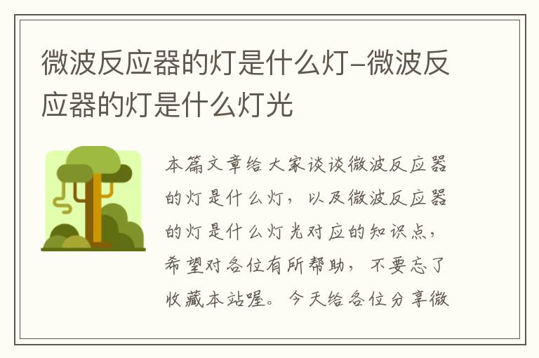 微波反应器的灯是什么灯-微波反应器的灯是什么灯光