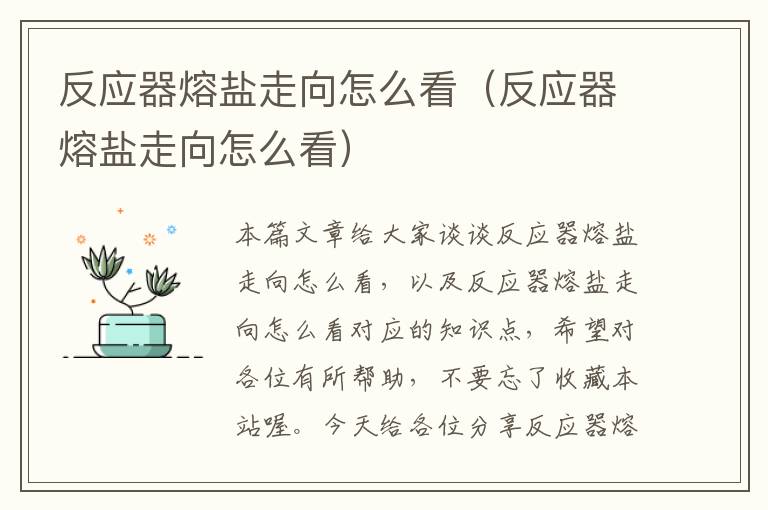 反应器熔盐走向怎么看（反应器熔盐走向怎么看）