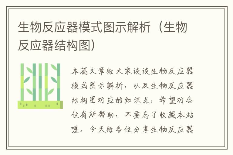 生物反应器模式图示解析（生物反应器结构图）