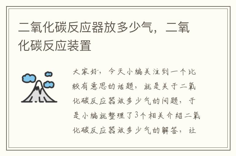 二氧化碳反应器放多少气，二氧化碳反应装置