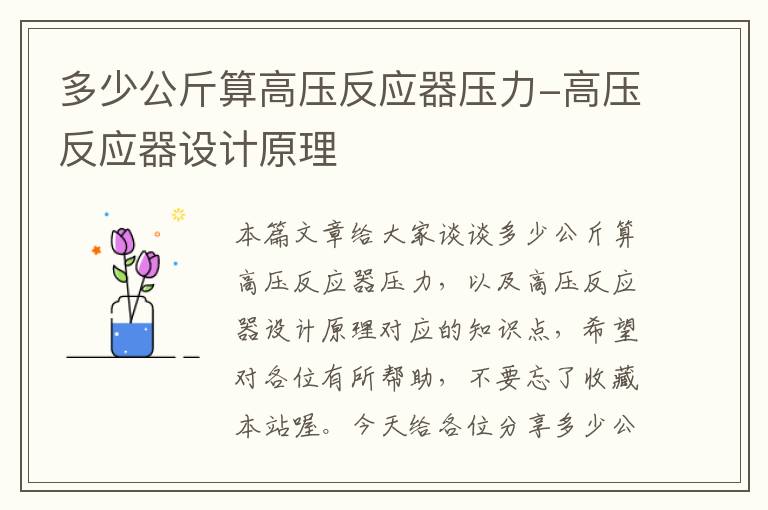 多少公斤算高压反应器压力-高压反应器设计原理