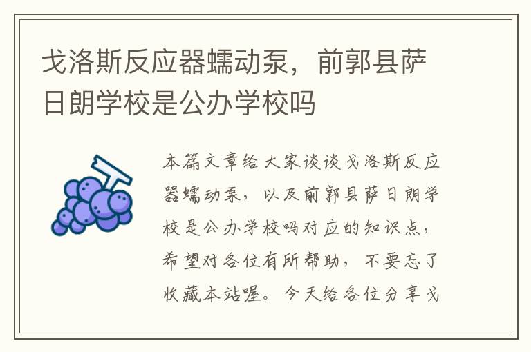 戈洛斯反应器蠕动泵，前郭县萨日朗学校是公办学校吗