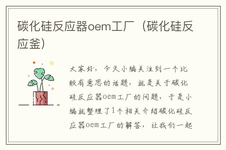 碳化硅反应器oem工厂（碳化硅反应釜）