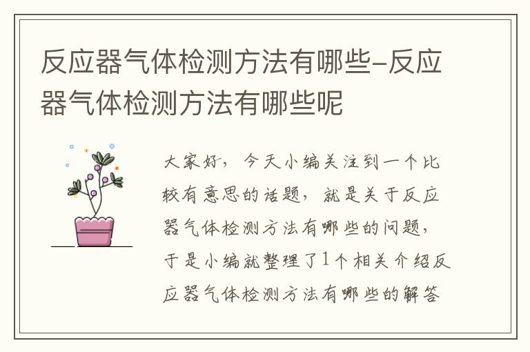 反应器气体检测方法有哪些-反应器气体检测方法有哪些呢