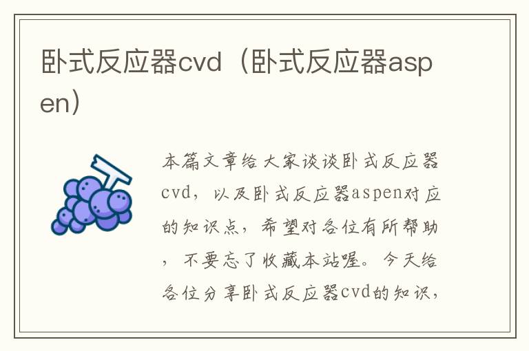 卧式反应器cvd（卧式反应器aspen）