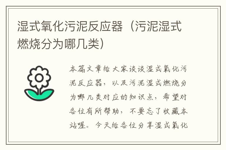 湿式氧化污泥反应器（污泥湿式燃烧分为哪几类）