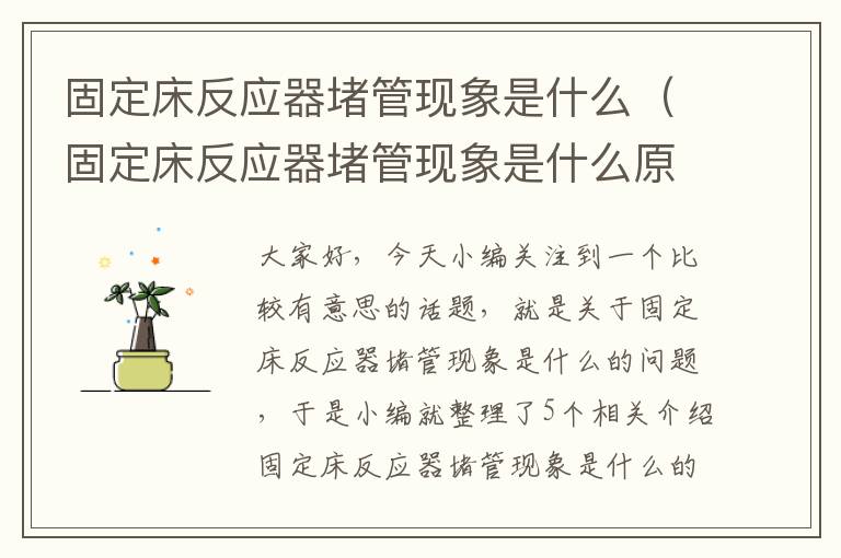 固定床反应器堵管现象是什么（固定床反应器堵管现象是什么原因）