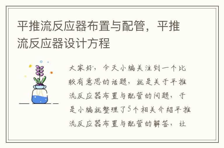 平推流反应器布置与配管，平推流反应器设计方程