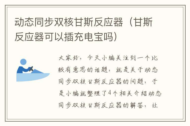 动态同步双核甘斯反应器（甘斯反应器可以插充电宝吗）