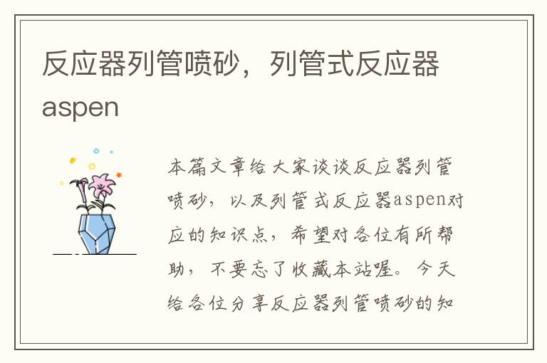 反应器列管喷砂，列管式反应器aspen