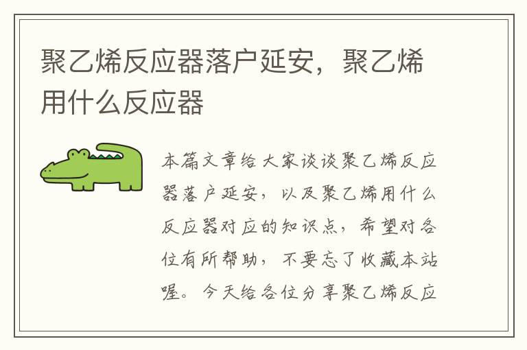 聚乙烯反应器落户延安，聚乙烯用什么反应器