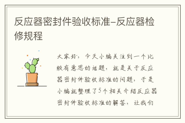 反应器密封件验收标准-反应器检修规程