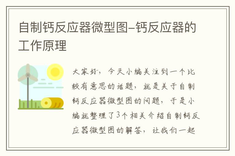 自制钙反应器微型图-钙反应器的工作原理