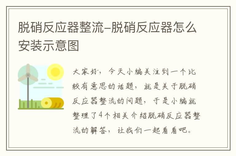 脱硝反应器整流-脱硝反应器怎么安装示意图