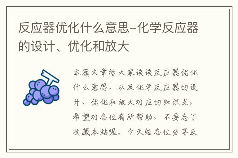 反应器优化什么意思-化学反应器的设计、优化和放大