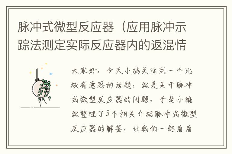 脉冲式微型反应器（应用脉冲示踪法测定实际反应器内的返混情况）