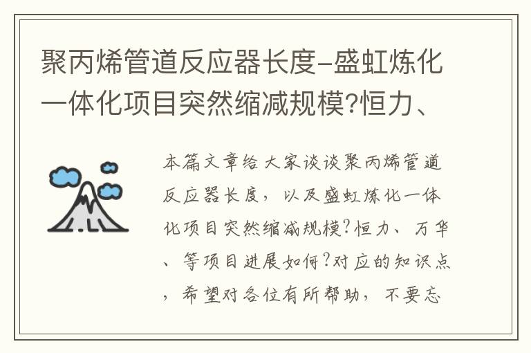 聚丙烯管道反应器长度-盛虹炼化一体化项目突然缩减规模?恒力、万华、等项目进展如何?