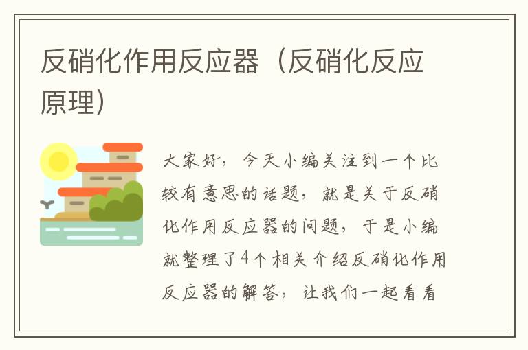 反硝化作用反应器（反硝化反应原理）