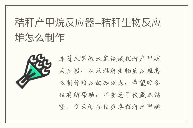 秸秆产甲烷反应器-秸秆生物反应堆怎么制作