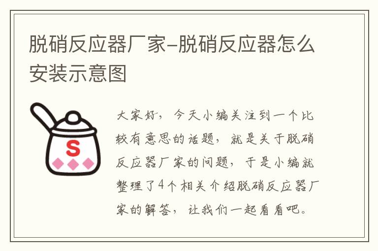 脱硝反应器厂家-脱硝反应器怎么安装示意图