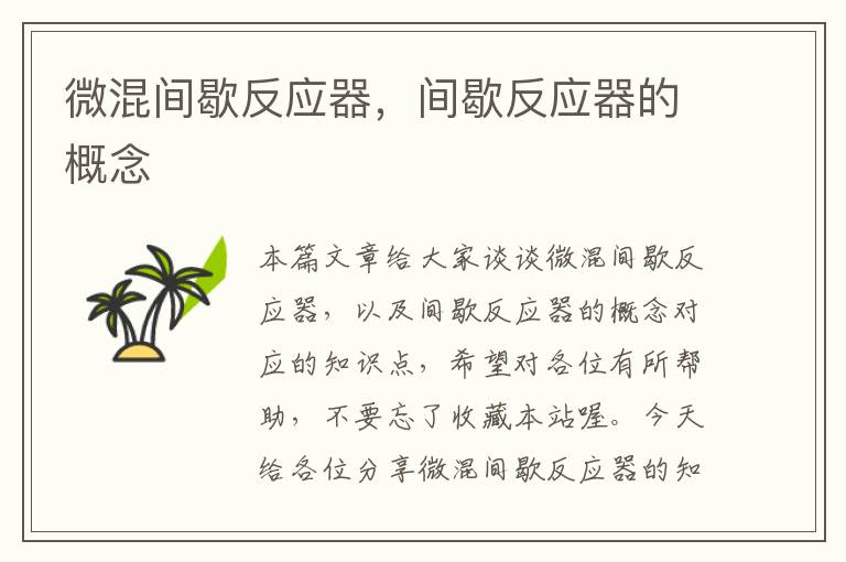 微混间歇反应器，间歇反应器的概念