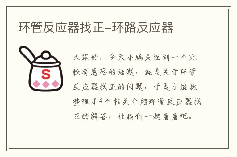 环管反应器找正-环路反应器