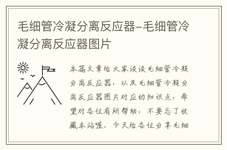 毛细管冷凝分离反应器-毛细管冷凝分离反应器图片