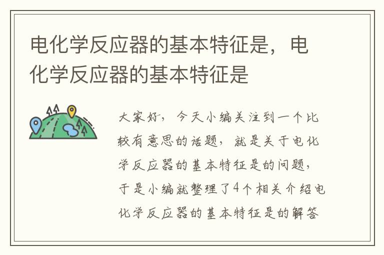 电化学反应器的基本特征是，电化学反应器的基本特征是